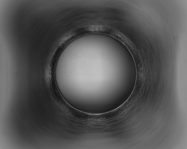 X0000100480727200806131229