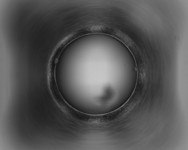 X0000100480728200806131229
