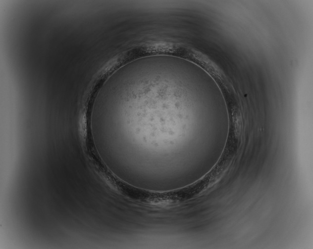 X0000100480729200806131229