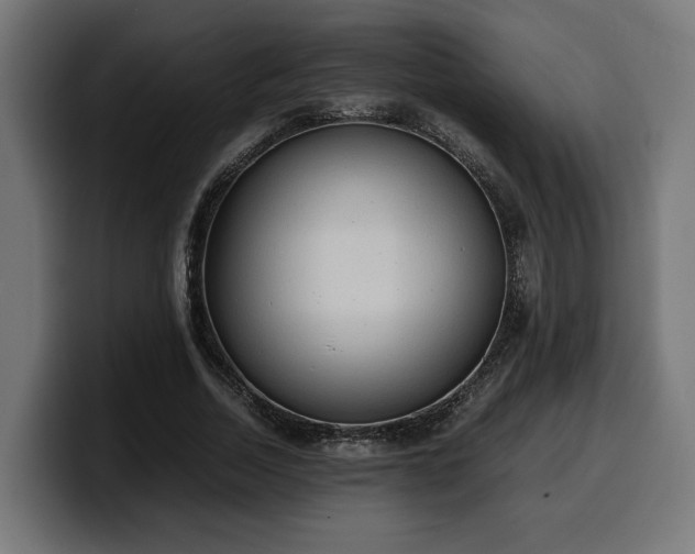 X0000100480730200806131229