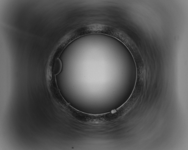 X0000100480731200806131229