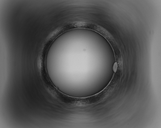 X0000100480732200806131229