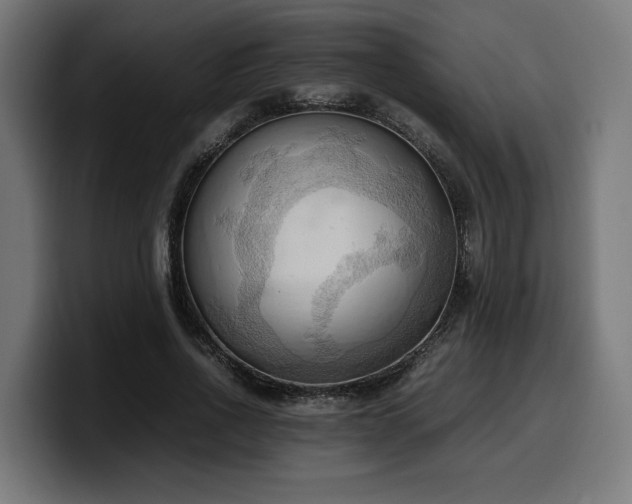X0000100480734200806131229
