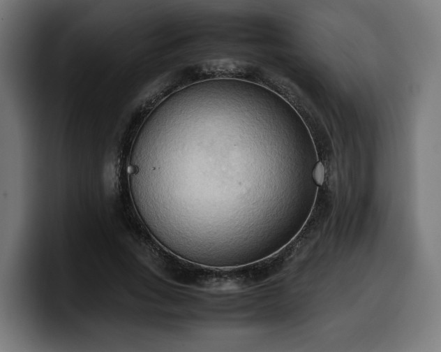 X0000100480735200806131229