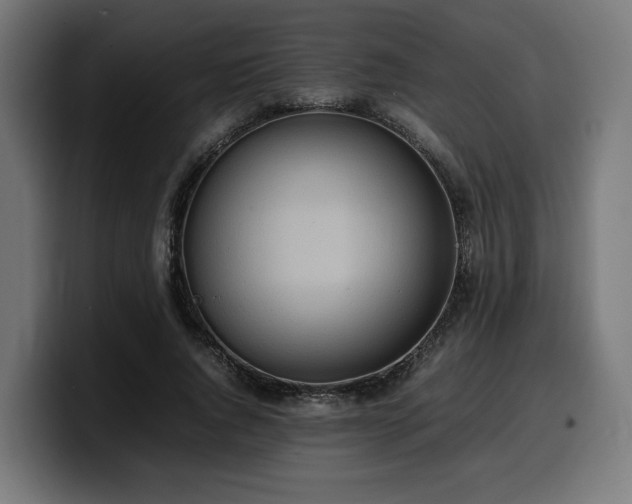 X0000100480736200806131229