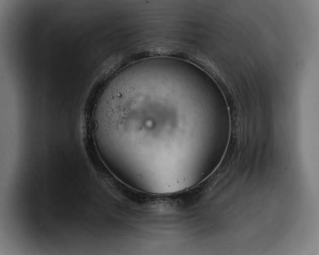 X0000100480738200806131229