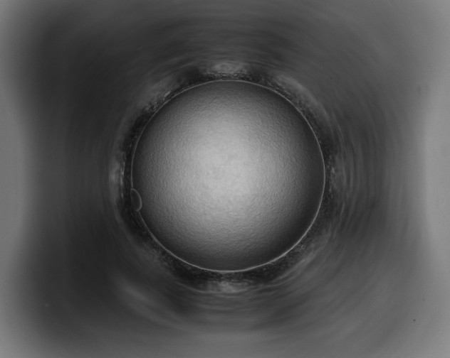 X0000100480739200806131229