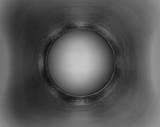 X0000100480740200806131229