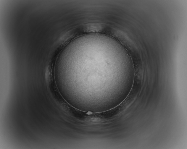 X0000100480743200806131229