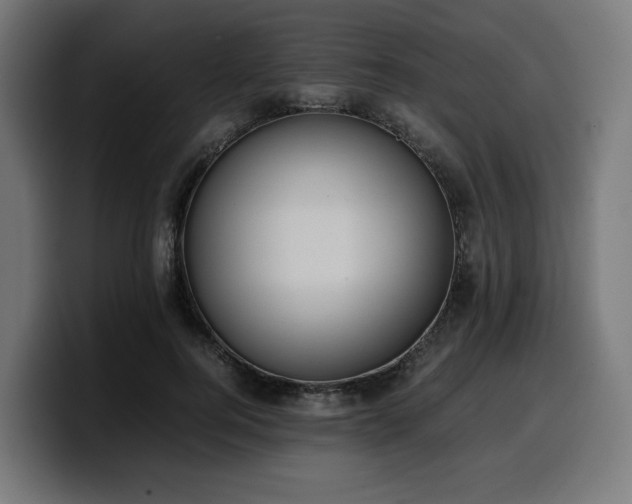 X0000100480744200806131230