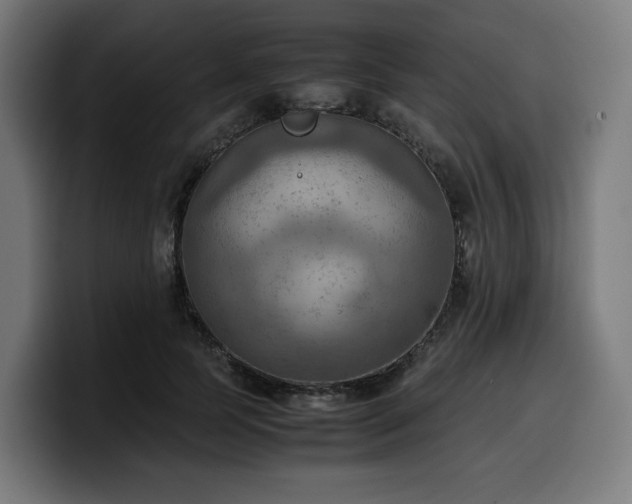 X0000100480745200806131230