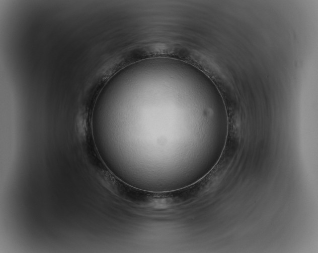 X0000100480746200806131230