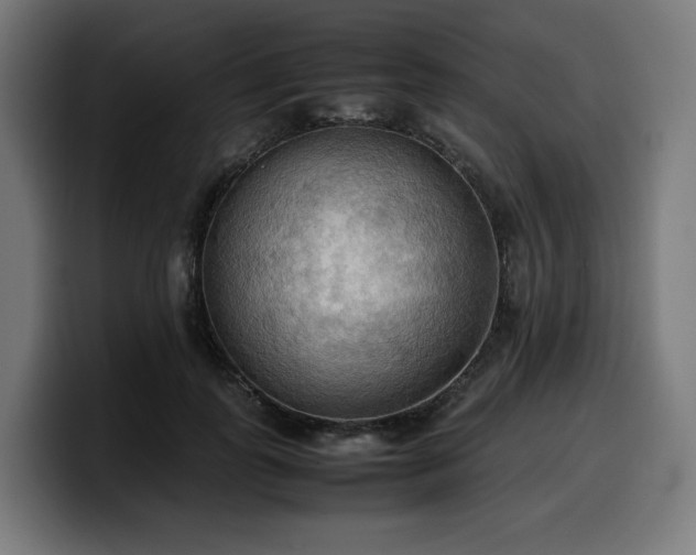 X0000100480747200806131230