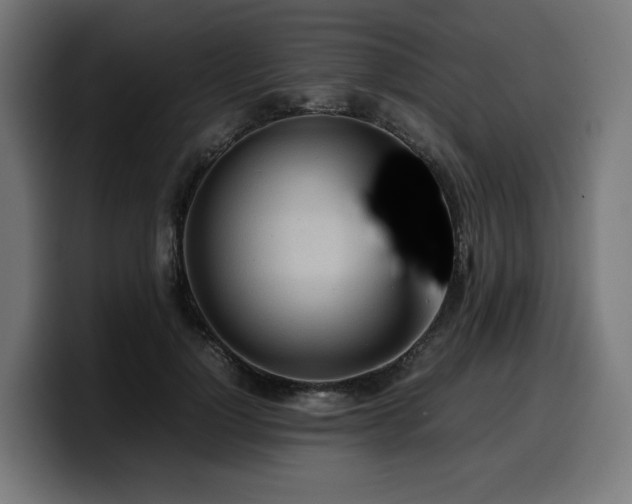 X0000100480748200806131230