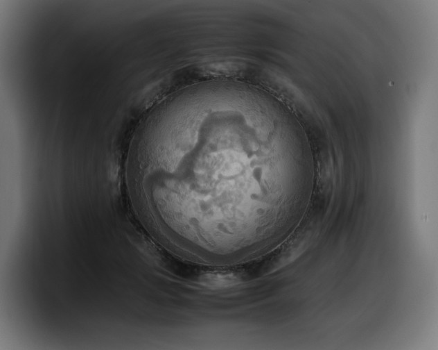 X0000100480749200806131230