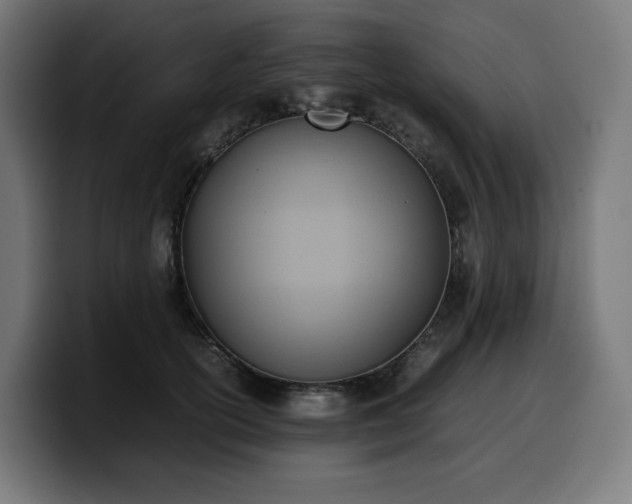 X0000100480754200806131230