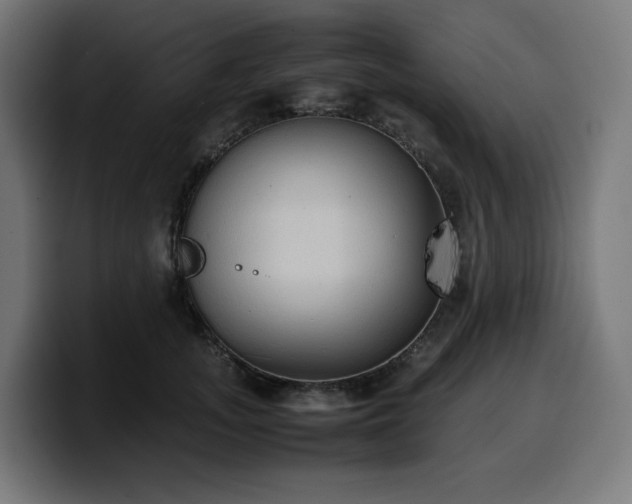 X0000100480755200806131230
