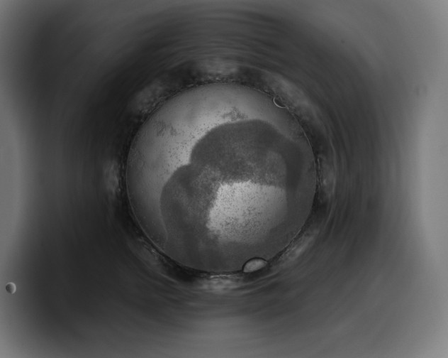X0000100480758200806131230