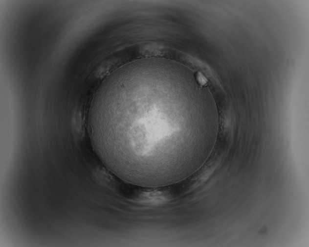 X0000100480759200806131230