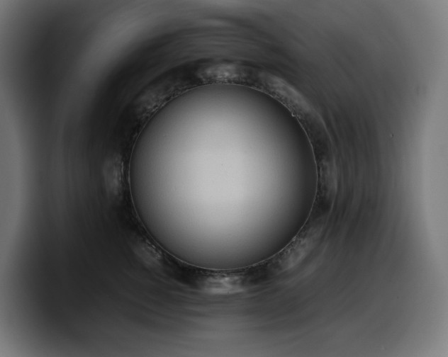 X0000100480760200806131230