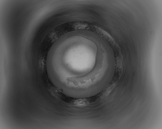 X0000100480761200806131230