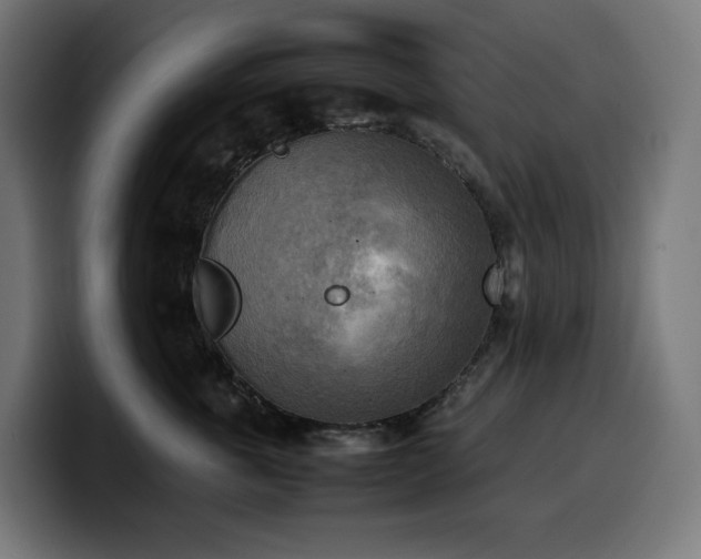 X0000100480763200806131230