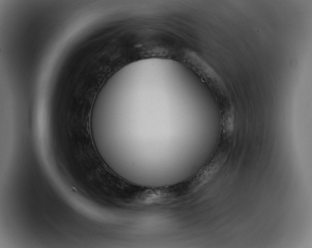 X0000100480764200806131230
