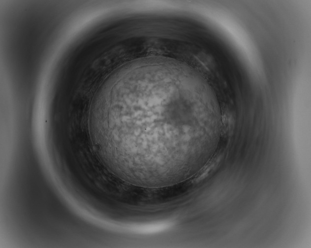 X0000100480765200806131230