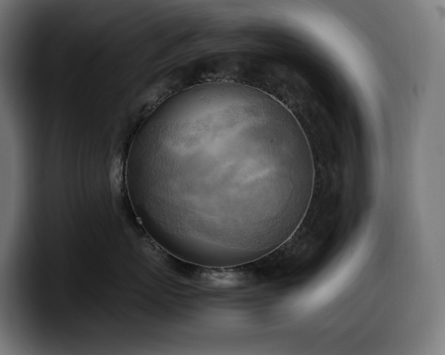 X0000100480767200806131230