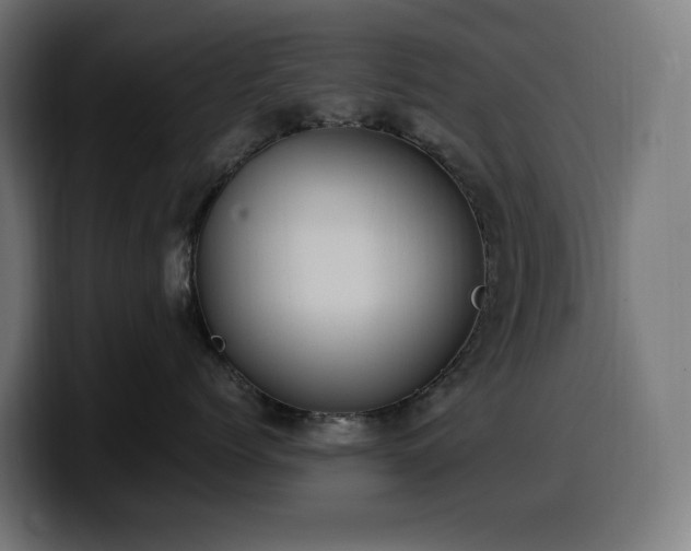 X0000100480768200806131230