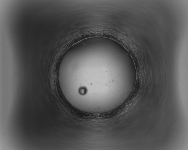 X0000100480769200806131229