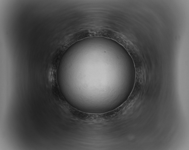 X0000100480770200806131229
