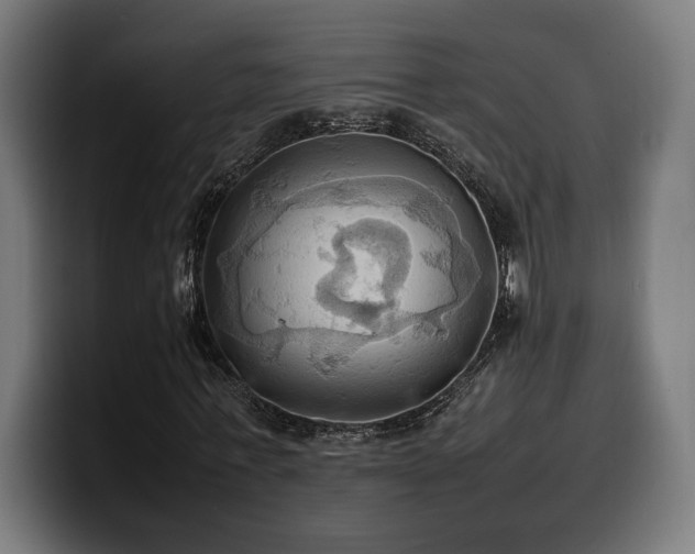 X0000100480771200806131229