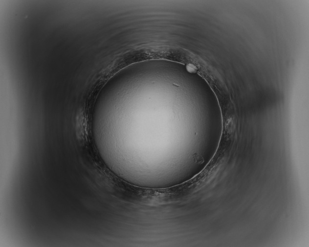 X0000100480772200806131229