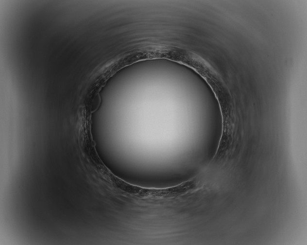 X0000100480773200806131229