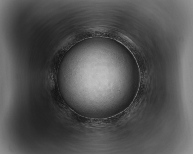 X0000100480774200806131229