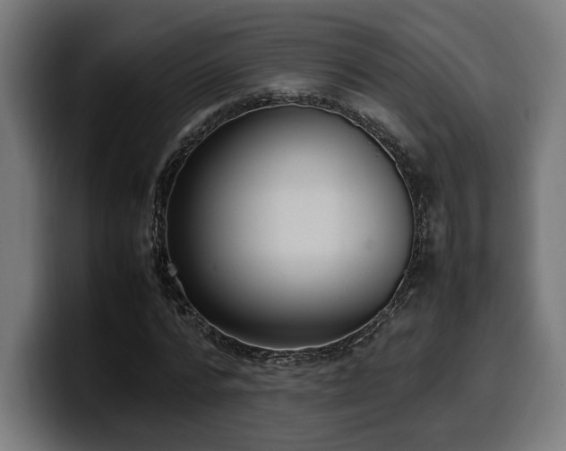X0000100480776200806131229