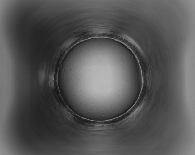 X0000100480777200806131229