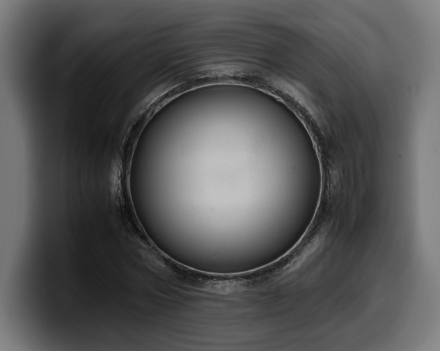 X0000100480778200806131229