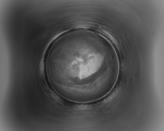 X0000100480779200806131229
