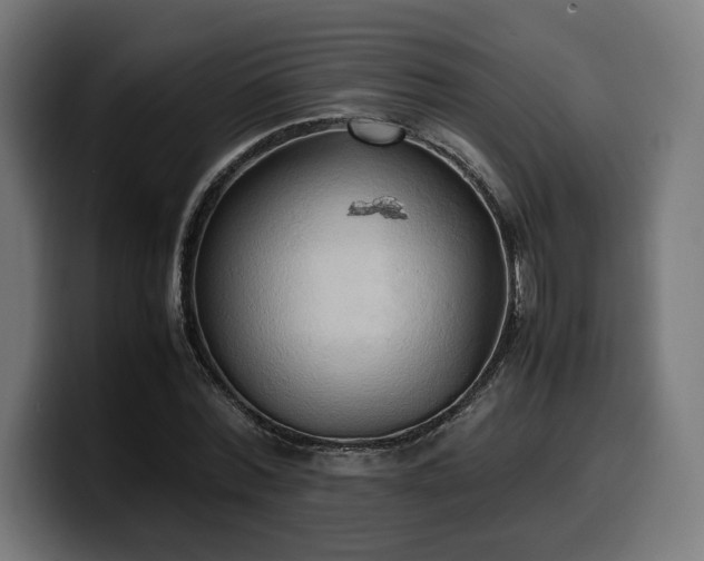 X0000100480780200806131229
