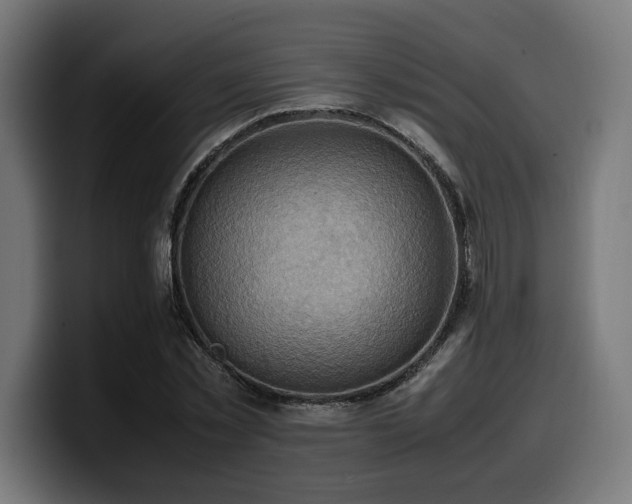X0000100480781200806131229