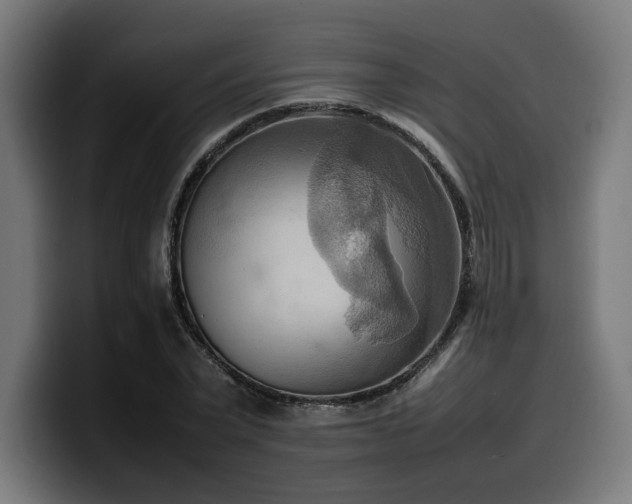 X0000100480783200806131229