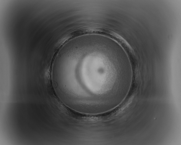 X0000100480785200806131229