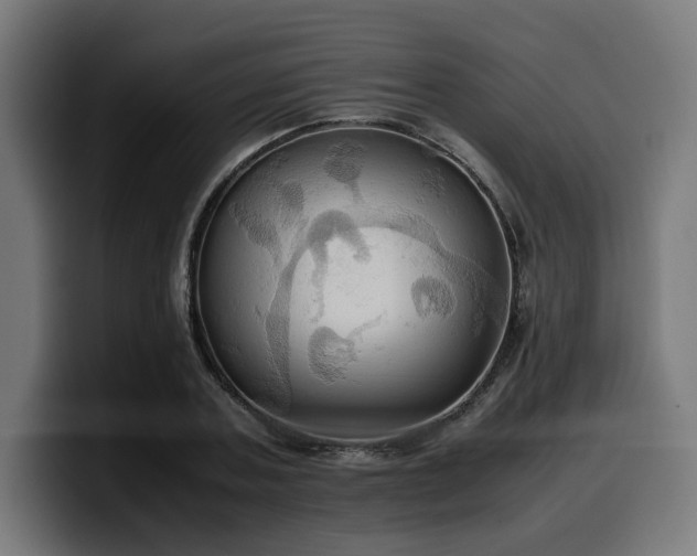 X0000100480787200806131229