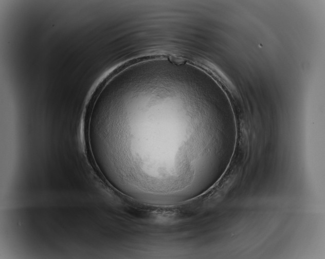 X0000100480788200806131229
