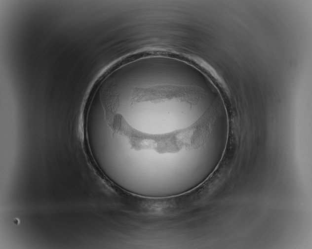 X0000100480791200806131229