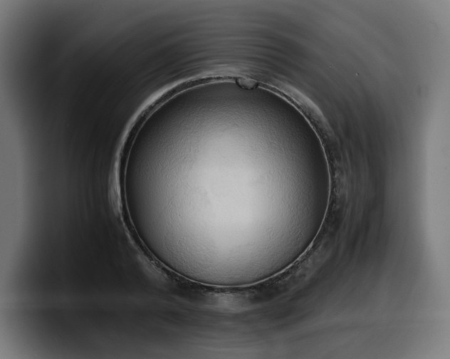 X0000100480792200806131229