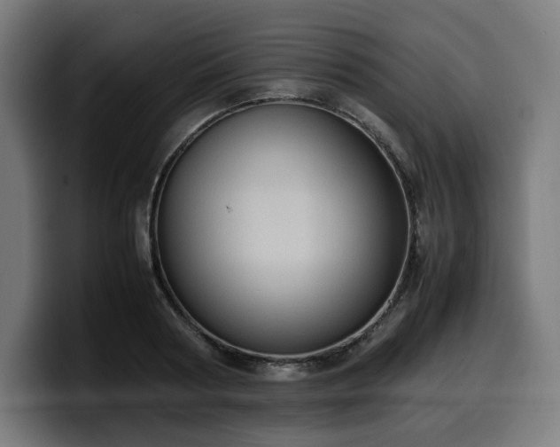 X0000100480794200806131229