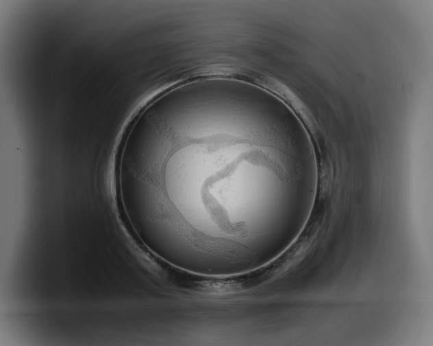 X0000100480795200806131229